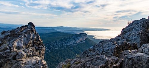 Immobilier du Pic saint loup